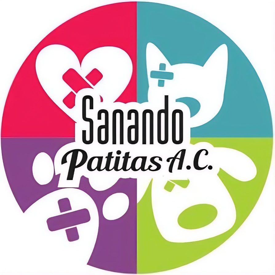 Título 3